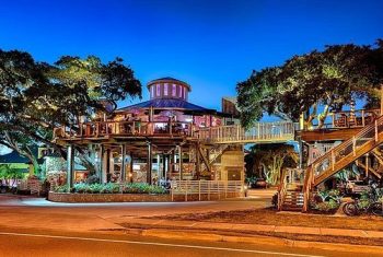 the-new-treehouse-bar